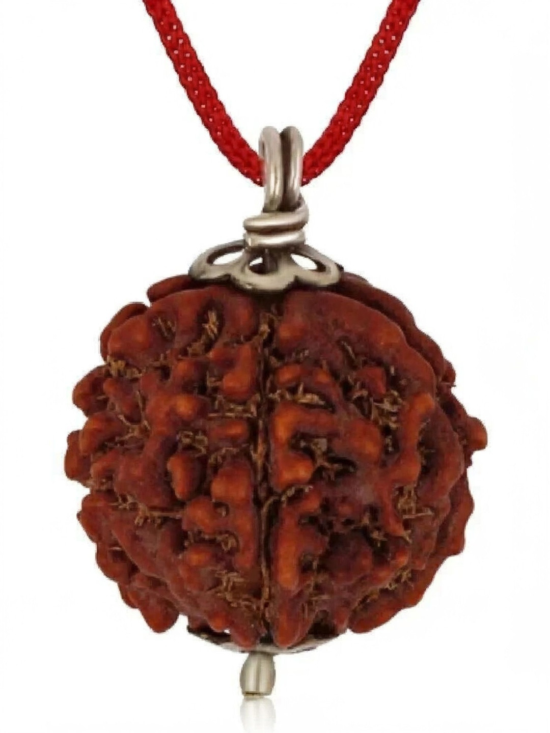RAVIOUR LIFESTYLE Unisex Spherical 5 Mukhi Rudraaksh Pendants with Chains