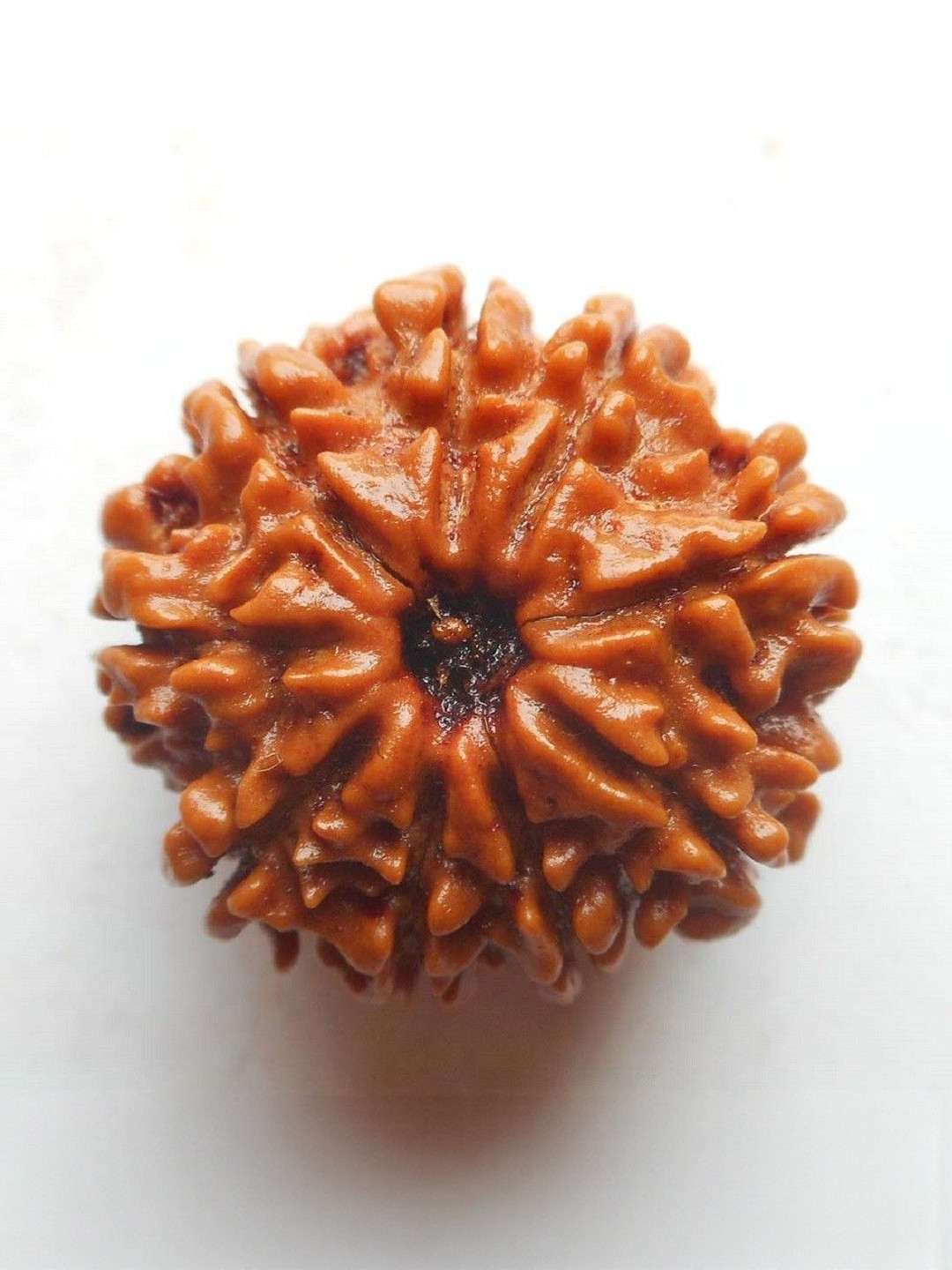 RAVIOUR LIFESTYLE Unisex Natural Certified Nine Mukhi Rudraksha Beads Beads Wood Pendants