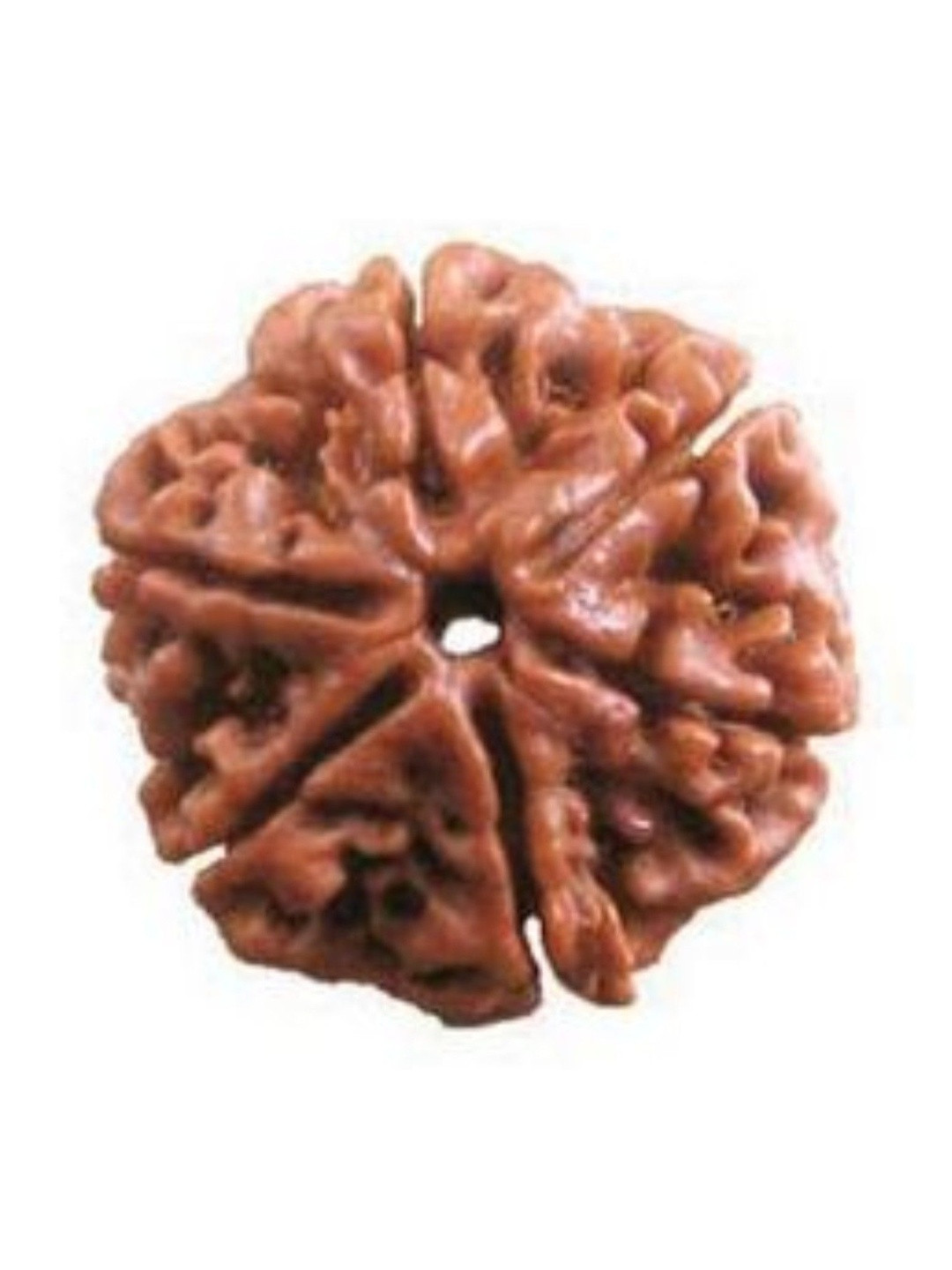 RAVIOUR LIFESTYLE Unisex Quirky Durga Gems 6 Mukhi Rudraksha Pendants