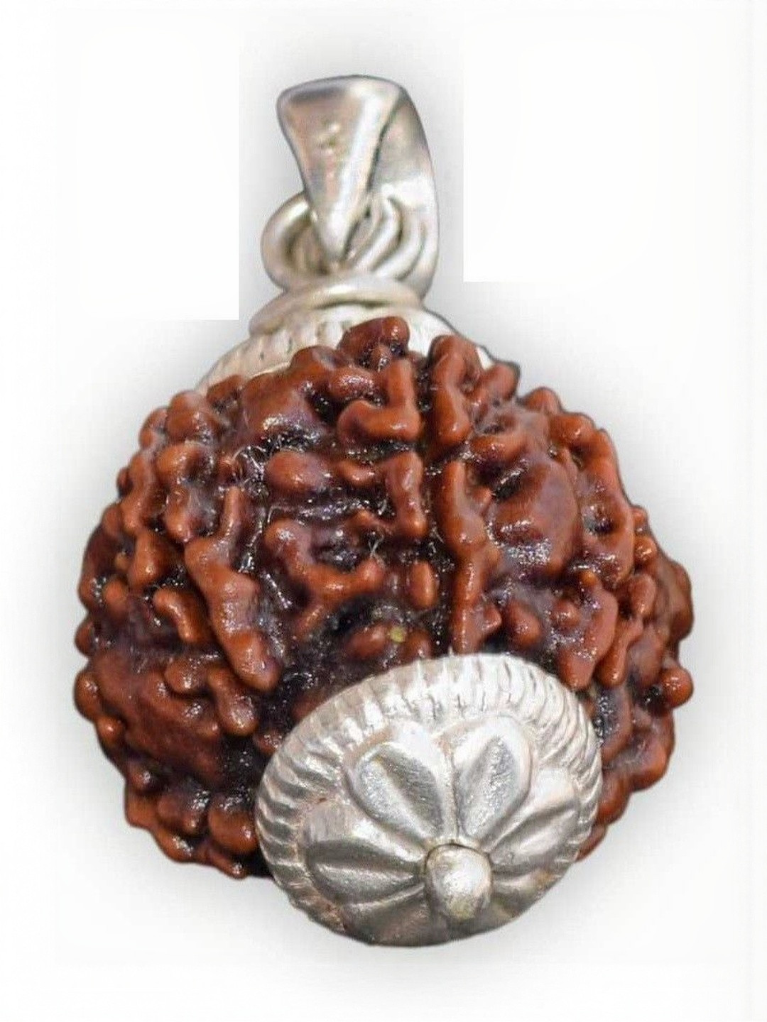 RAVIOUR LIFESTYLE Silver-Plated 5 Mukhi Rudraksh Alloy Pendants