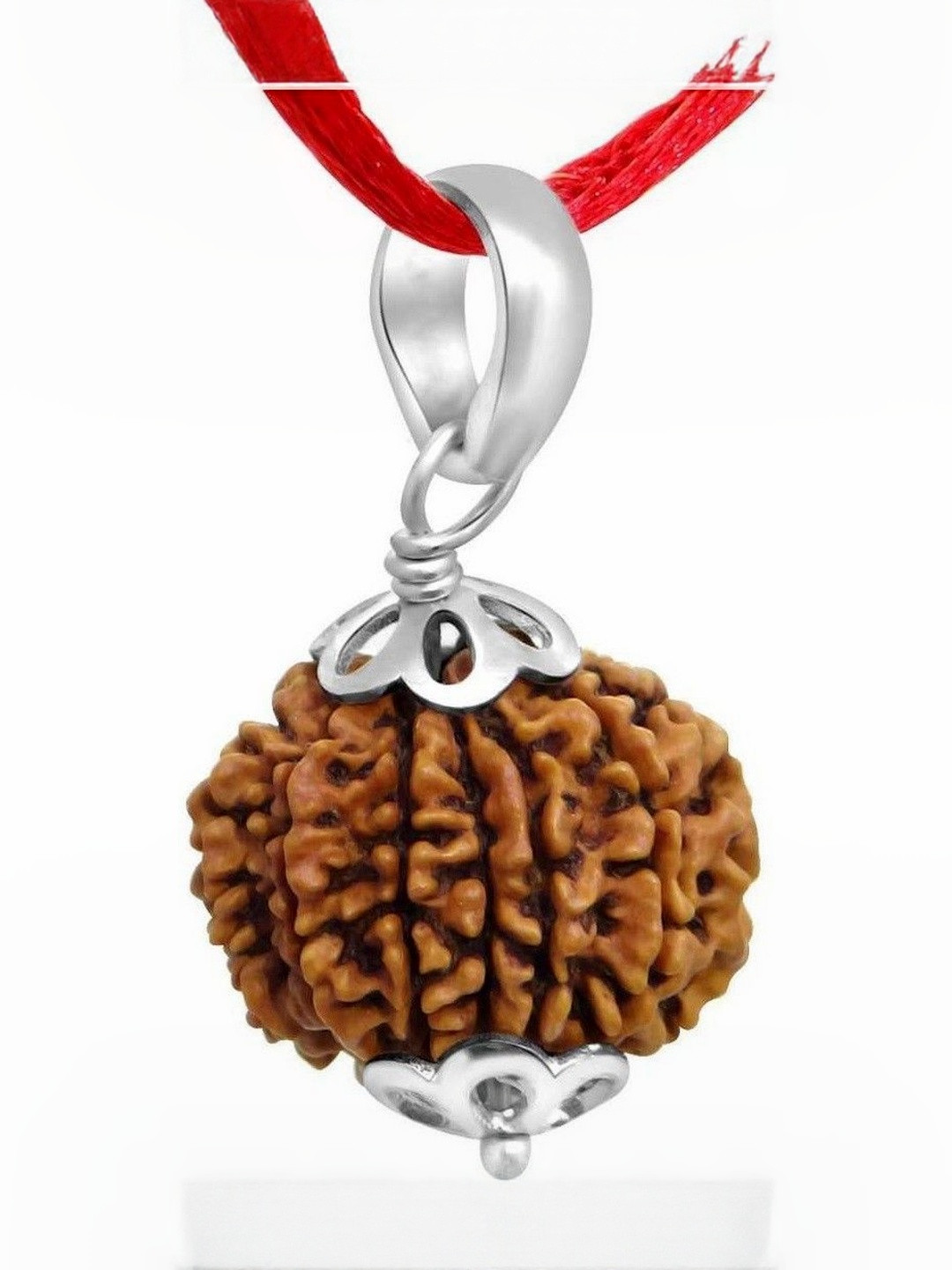 RAVIOUR LIFESTYLE Unisex Original 9 Mukhi Rudraksh Silver-Plated Spherical Pendants