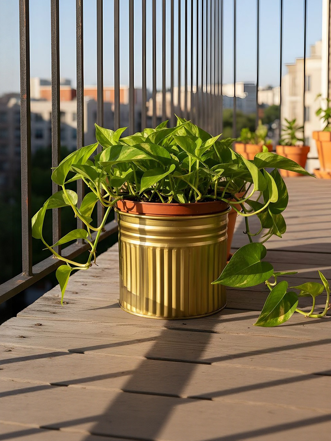 AARVI DECOR STUDIO Yellow Rediant-Striped Freestanding Round Plater