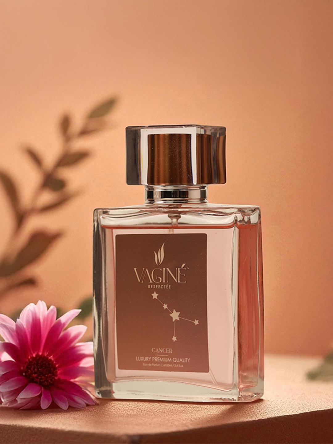 VAGINE Women Cancer Long Lasting Eau De Parfum - 100 ml