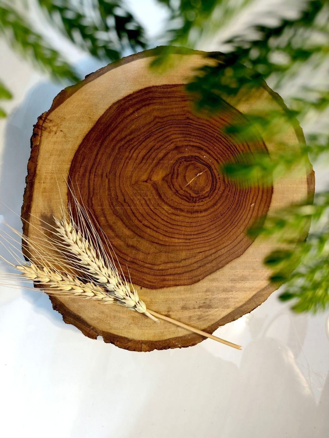 Akira Furnishings Brown Wood Trivet