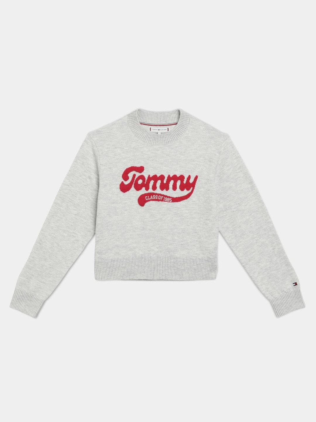 Tommy Hilfiger Girls Brand Logo Embroidered Regular Fit Cotton Crew Neck Sweater