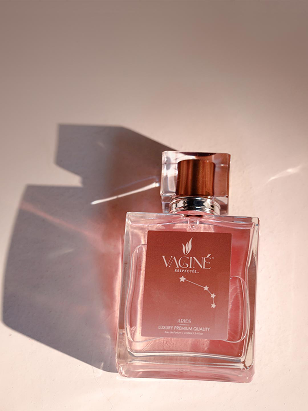 VAGINE Women Aries Long Lasting Eau De Parfum - 100 ml
