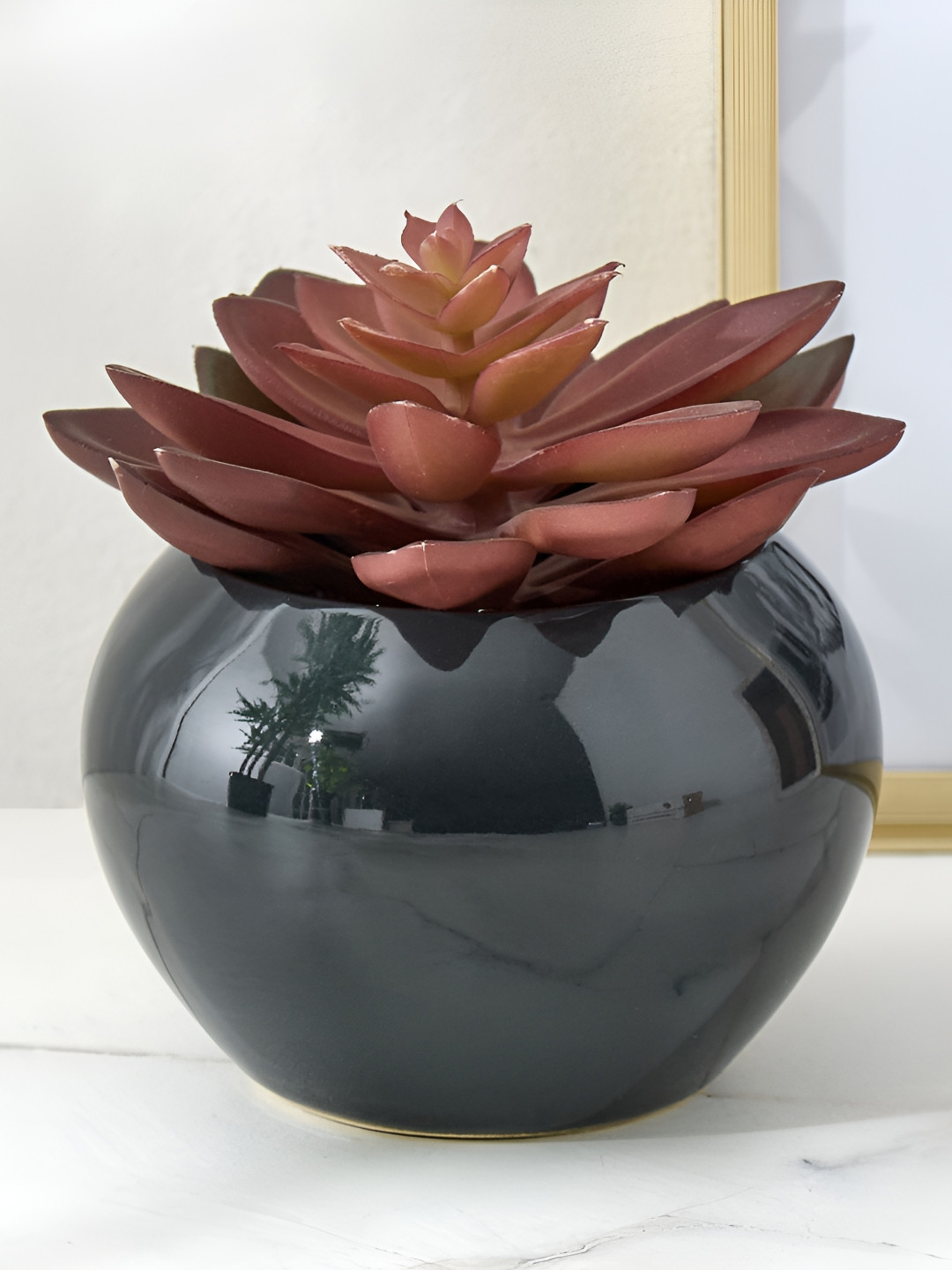 Home Centre Black & Brown Gloria Poco Succulent Artificial Plant With Pot