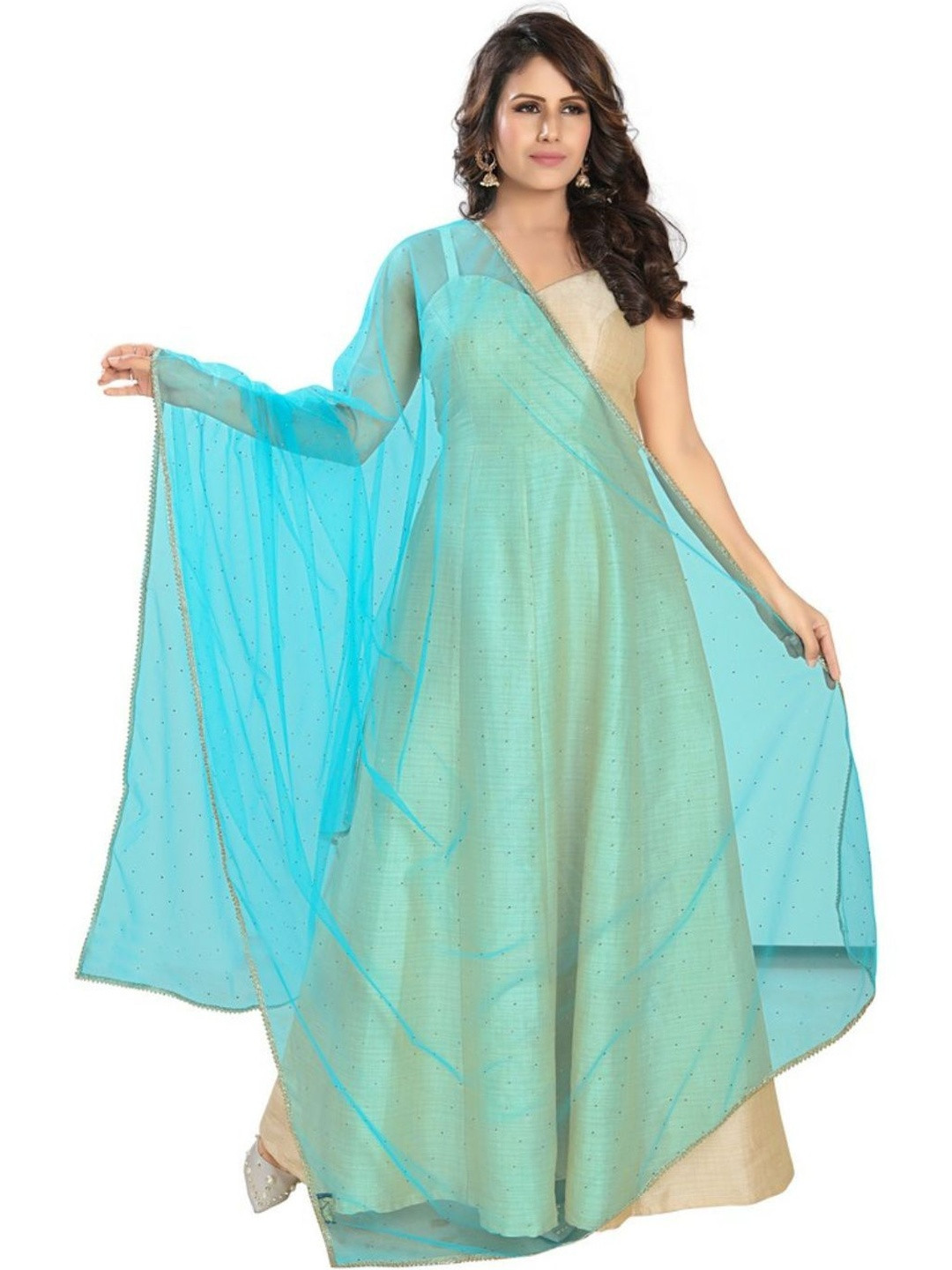 Avantrys Women Blue Naylon Embellished Stone Work Dupatta