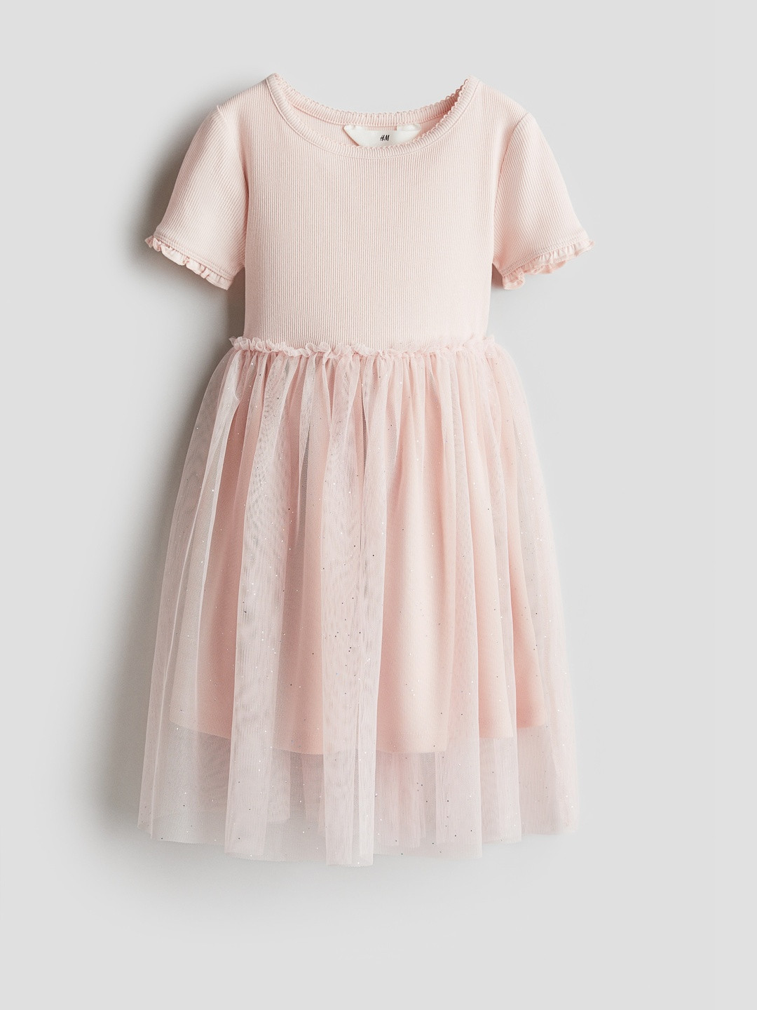 H&M Tulle Skirt Dress