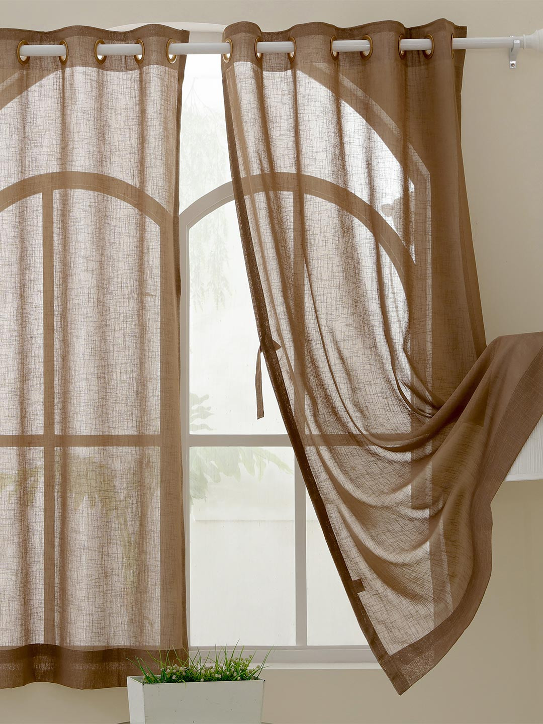 Story@home Serene Brown Sheer Window Curtain