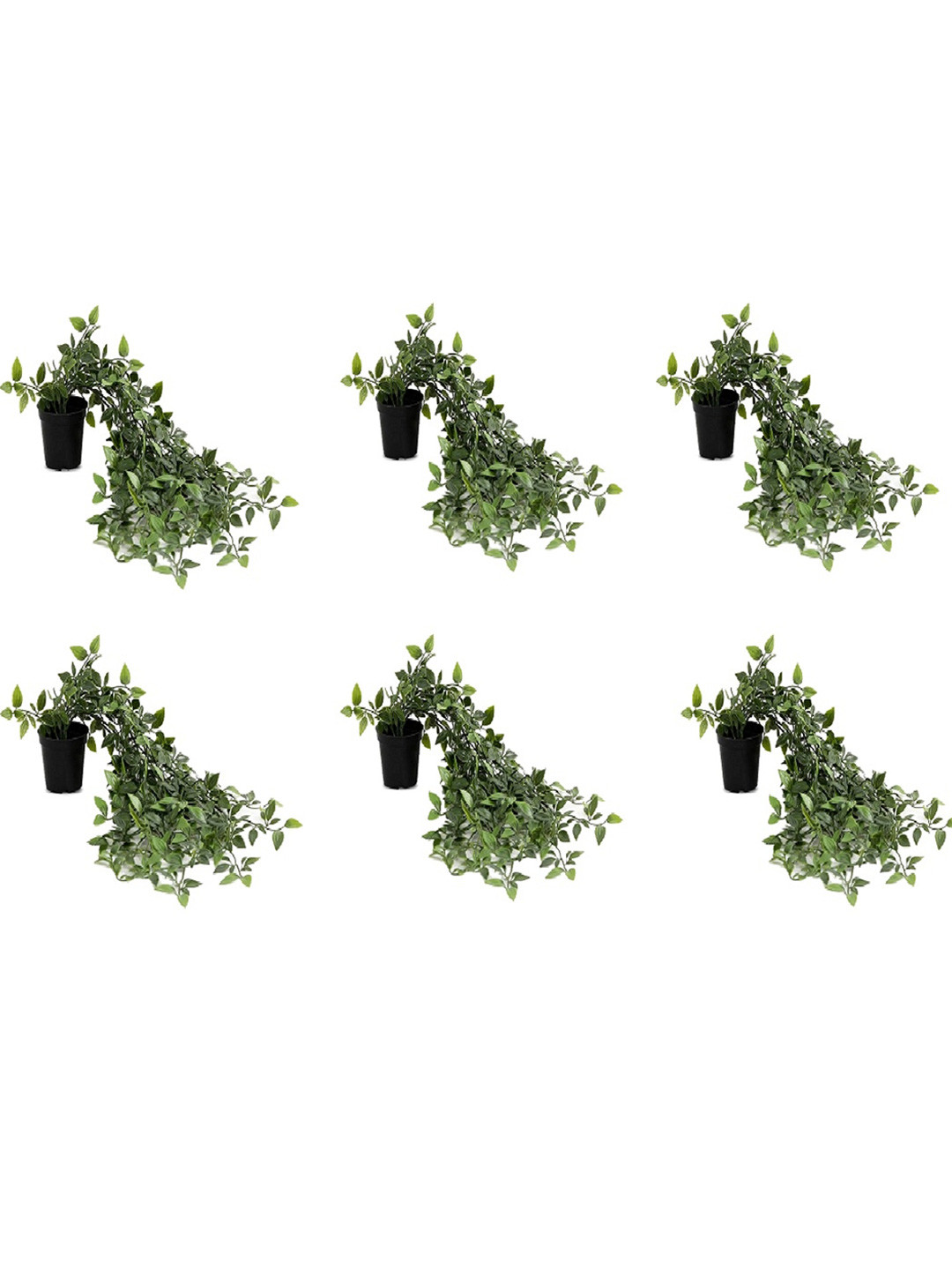 paperi Green & Black 6 Pieces Hanging Artificial Plants With Pot