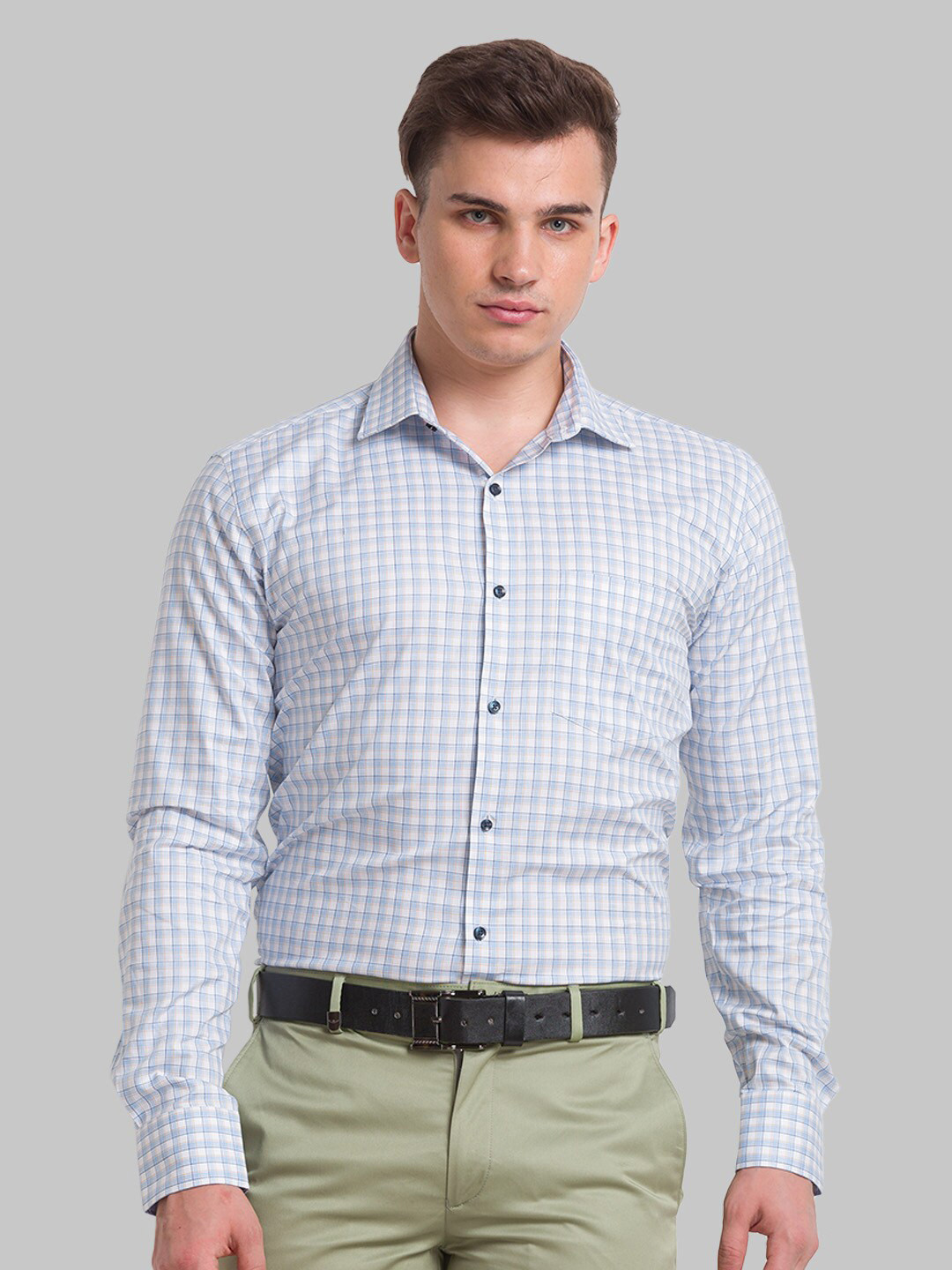 Park Avenue Men Checked Formal Slim Fit Cotton Shirt