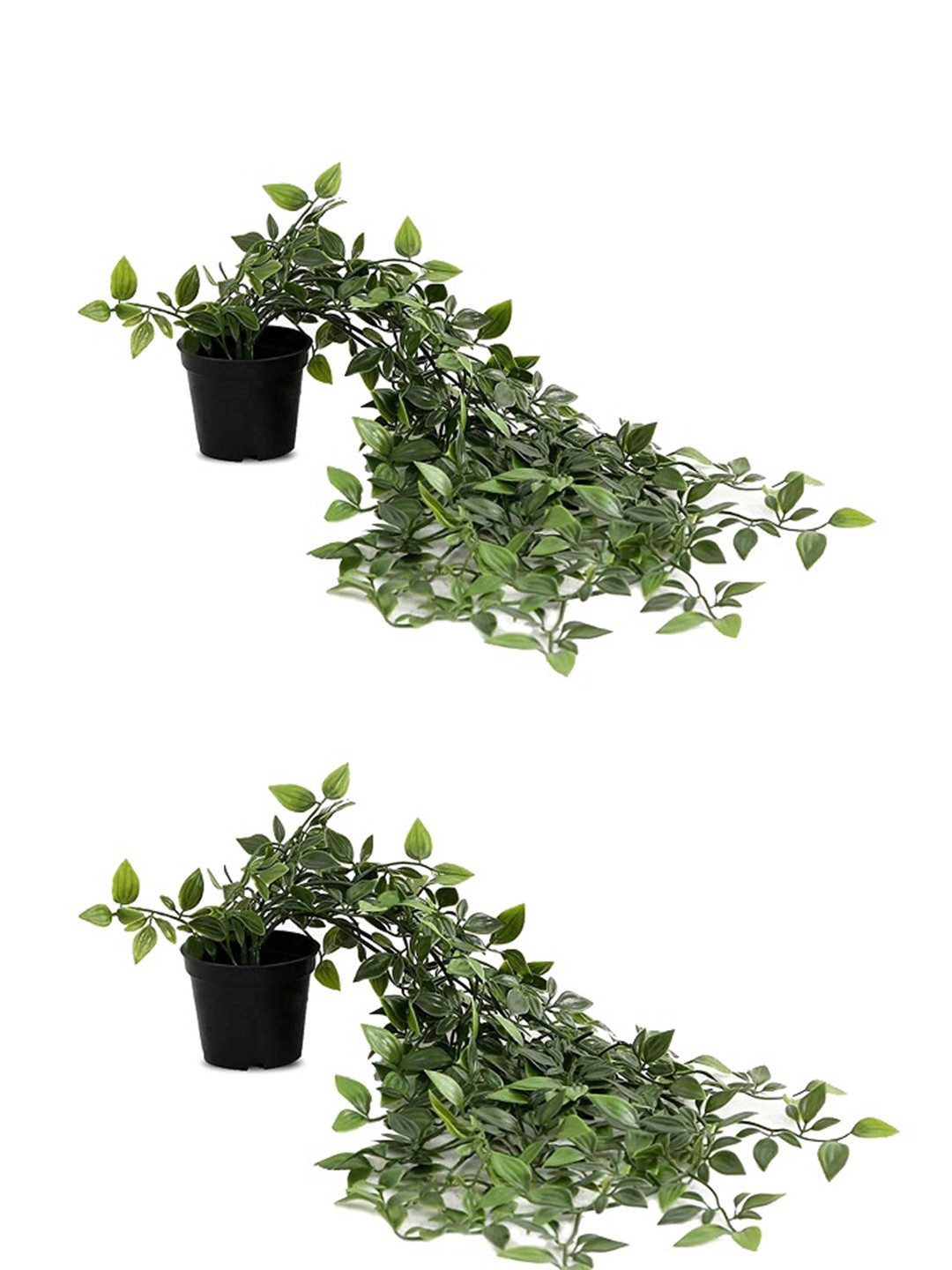 paperi Green & Black Hanging Artificial Plant With Pot