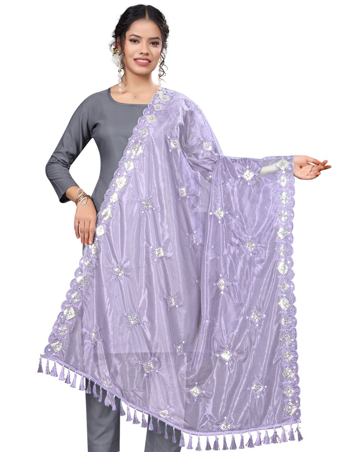 Kemza Geometric Embroidered Sequinned Organza Dupatta