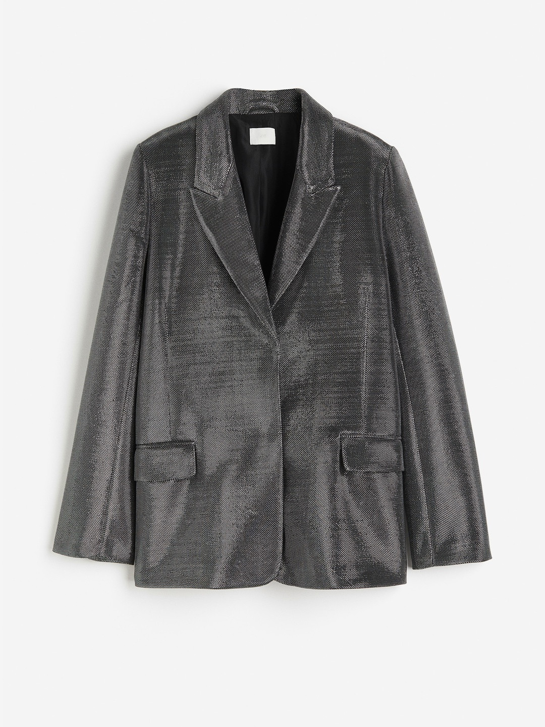 H&M Women Shimmering Blazer