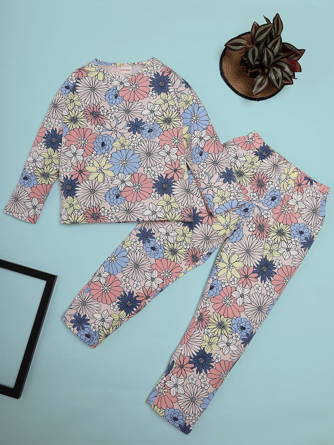 RAINE AND JAINE Girls Printed T-shirt & Pyjamas Night suit