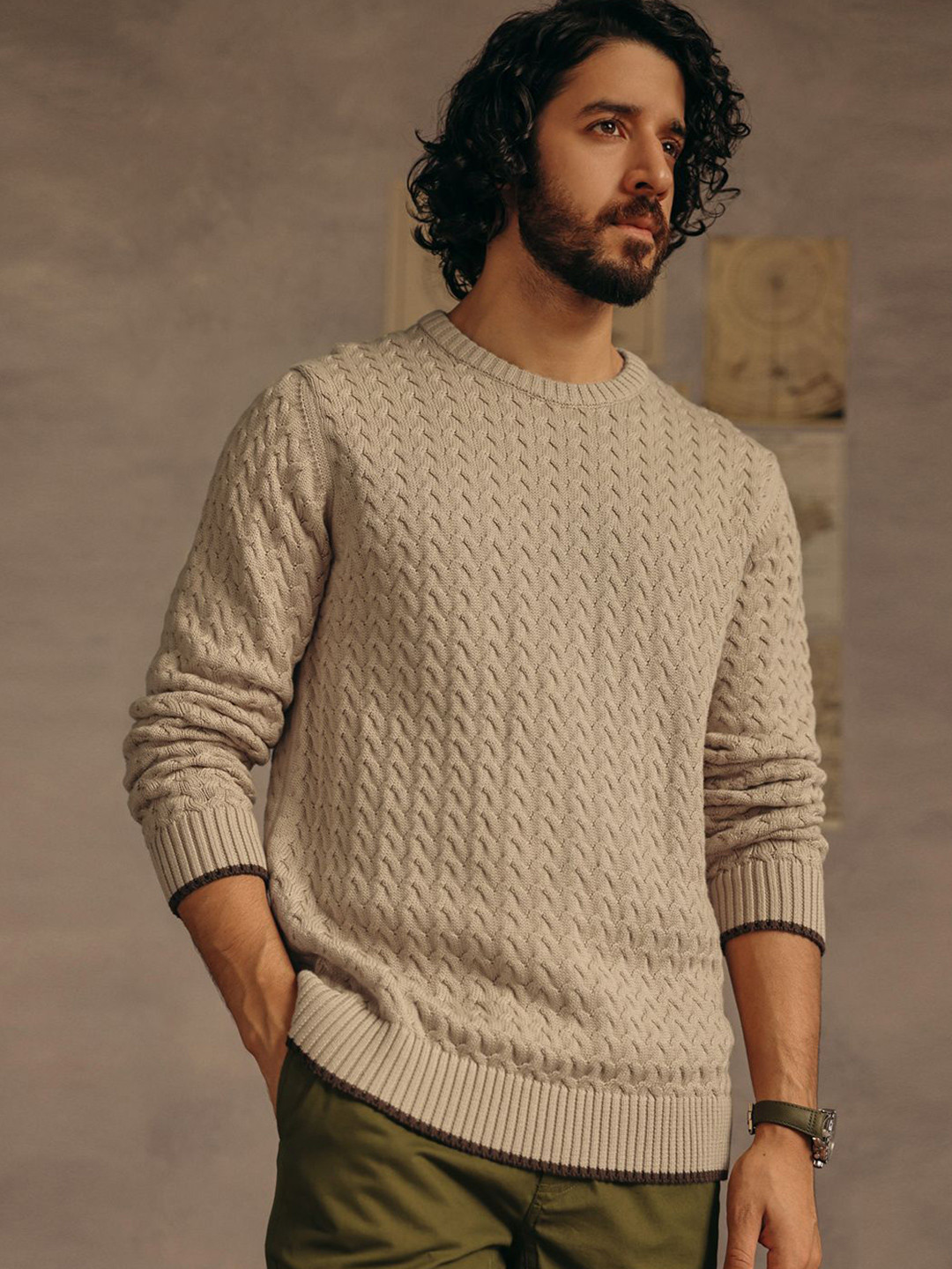 Andamen Escape Men Men Structured Fabric Cotton Regular Fit Pullover Sweaters