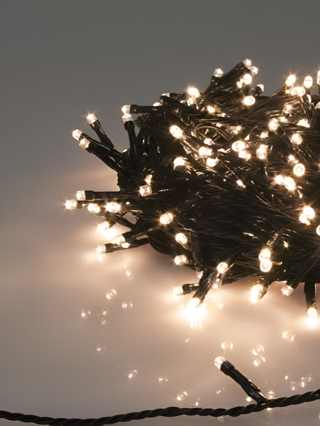 EarthCraft White LED Rice Shape String Lights