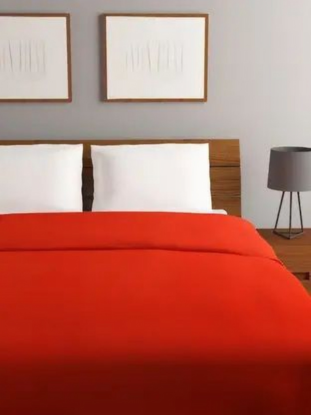 Steve & Anderson Red AC Room 233 GSM Double Bed Blanket