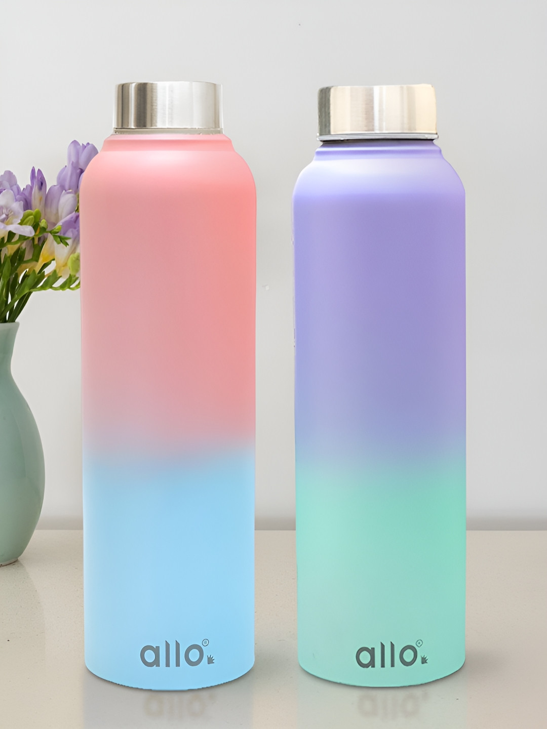 Allo Multicolour Set of 2 Stainless Steel Leakproof Steel Cap Water Bottle