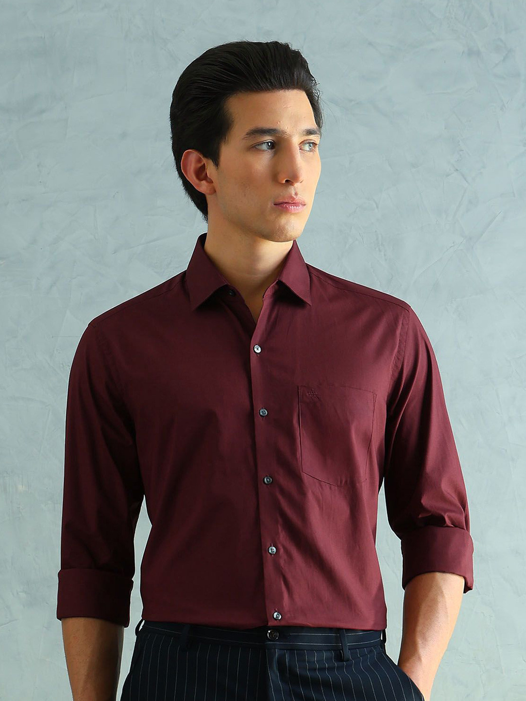 Arrow Smart Slim Fit Spread Collar Cotton Formal Shirt