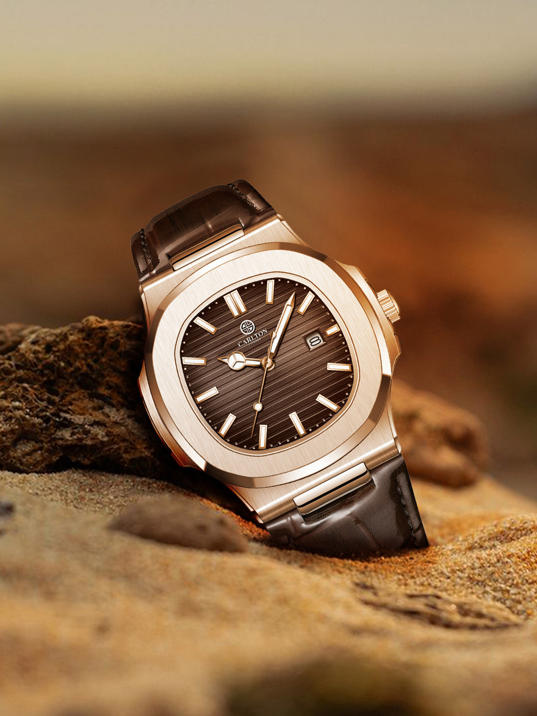 Carlton London Men Dial & Leather Bracelet Style Straps Analogue Watch CLJOR-002