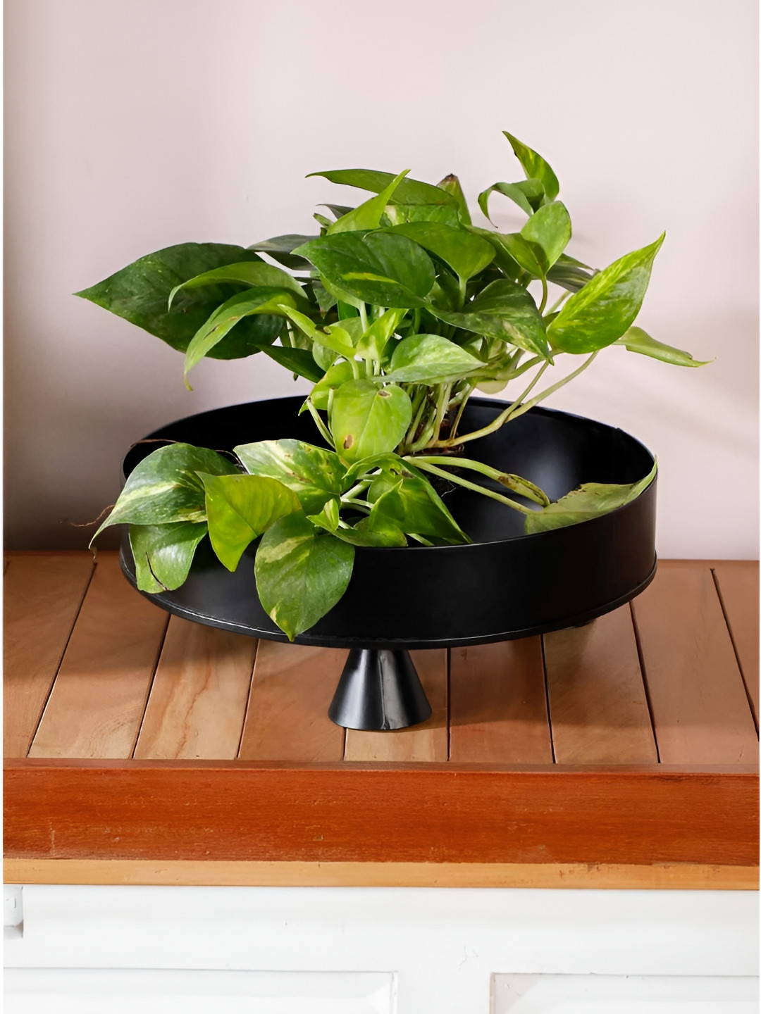 FREEDOM TREE Black Round Planter With Stand