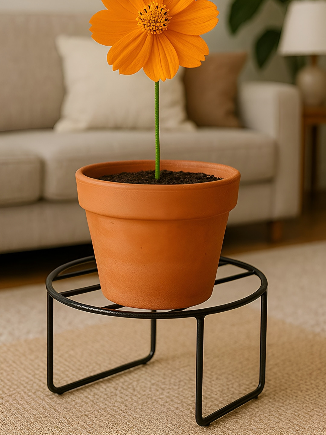 Habere India Set Of 3 Metal Plant Stand