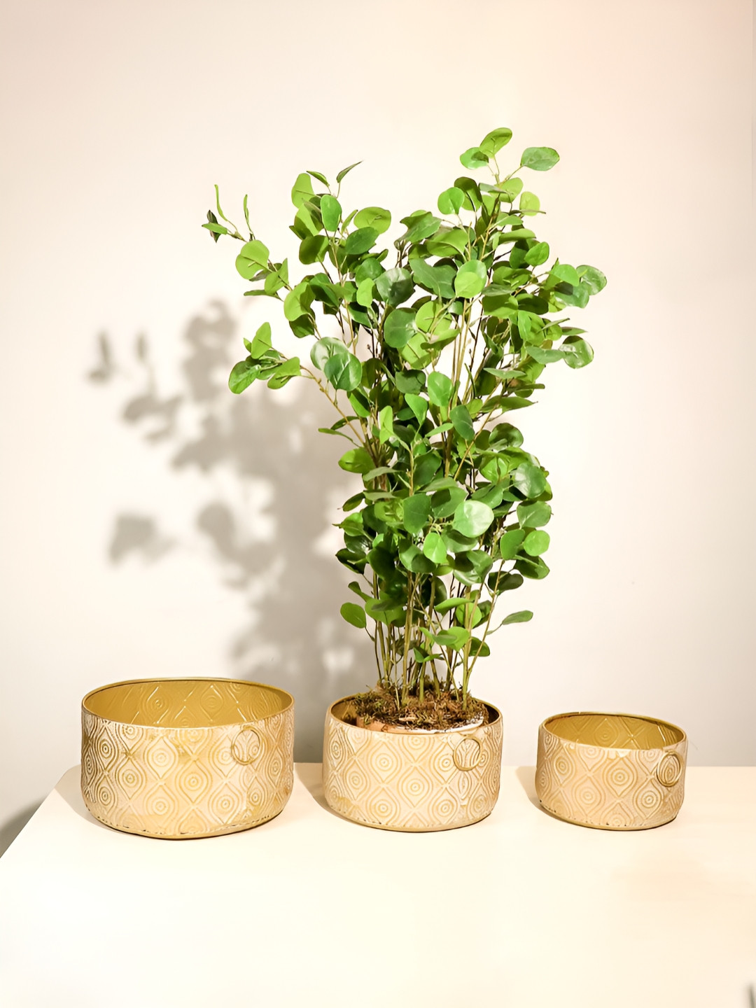 Art Street 3 Pieces Gold Toned Textured Metal Planters