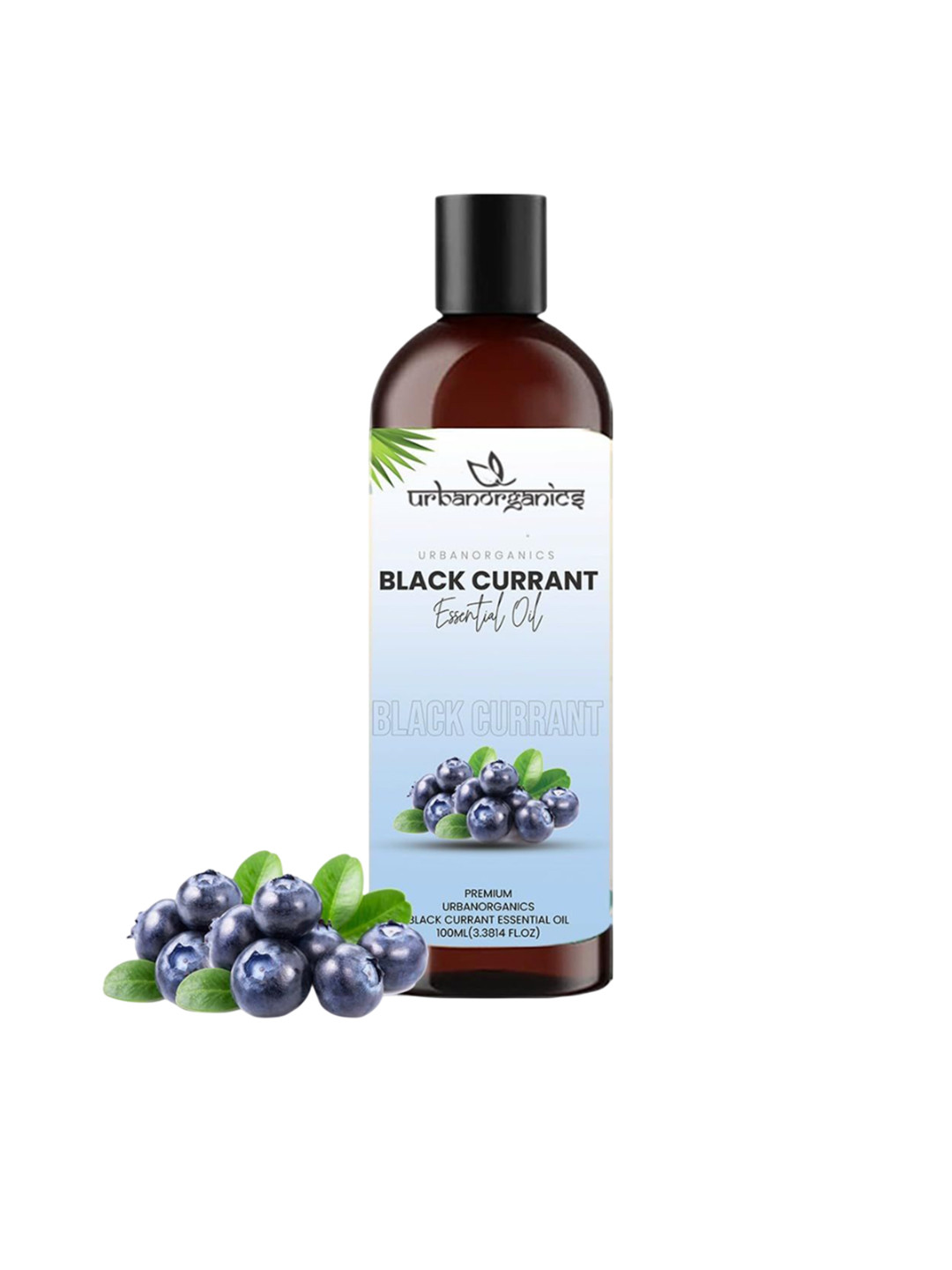 Urbanorganics Black Current Essential Oil - 100 ml