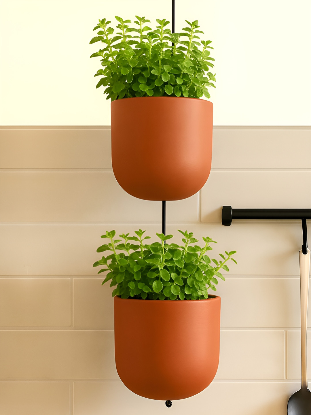 HABERE INDIA Set Of 2 Versatile Plant Pot