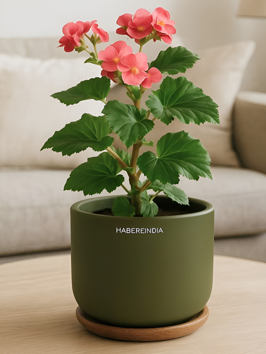 HABERE INDIA Olive-Green Terracotta Clay Lightweight Small Plant Pot