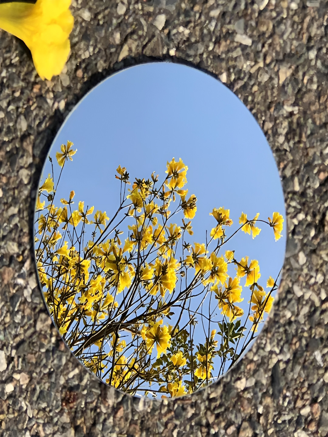 ARYAANSH Grey Round Glass Self Adhesive Wall Mirror