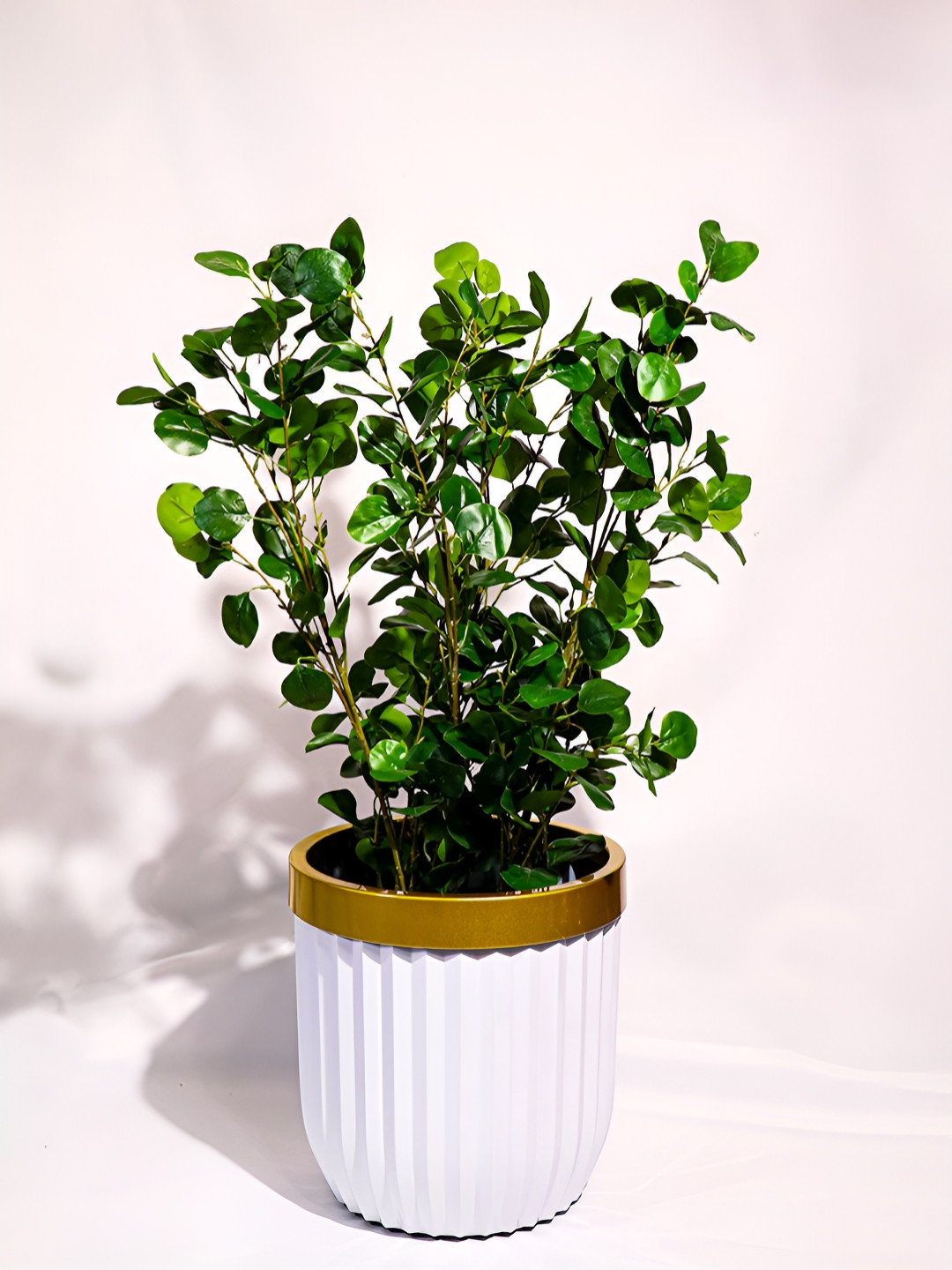 Art Street White & Gold Toned Ribbed Pattern Planters