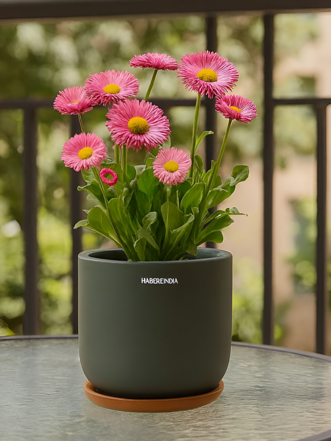 HABERE INDIA Grey Terracotta Clay Lightweight Small Plant Pot