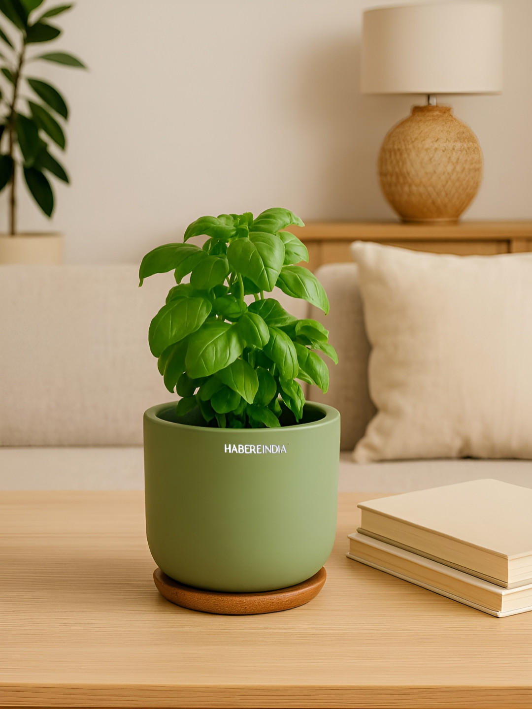 HABERE INDIA Green Terracotta Clay Lightweight Small Plant Pot