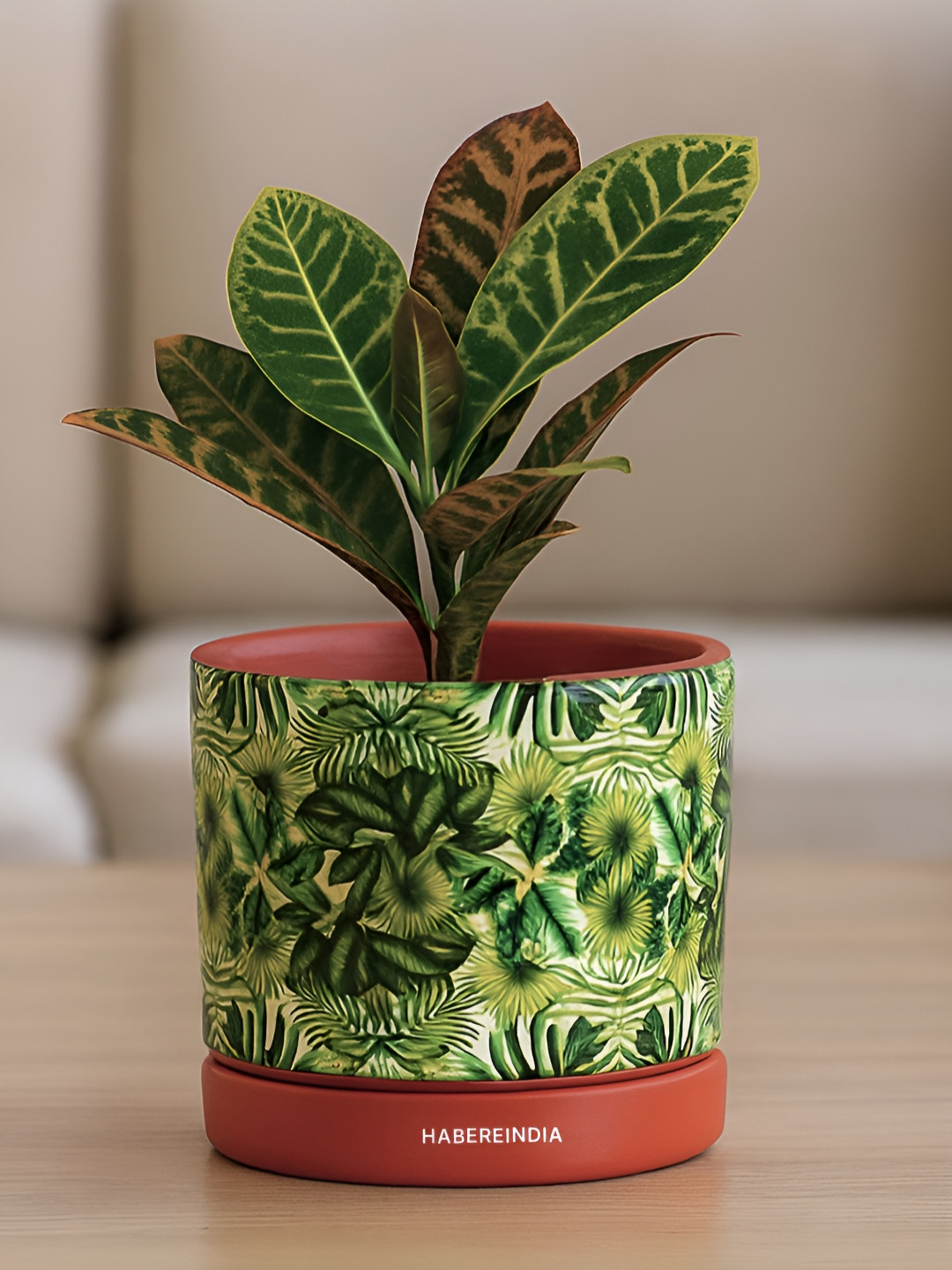 HABERE INDIA Floral Printed Lightweight Small Indoor Planter