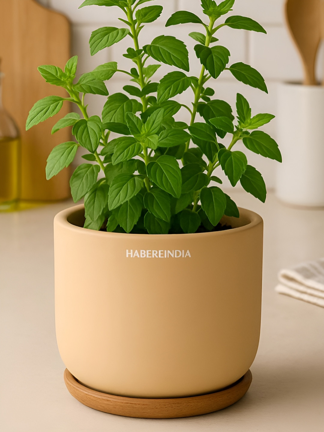 HABERE INDIA Beige Terracotta Clay Lightweight Small Plant Pot