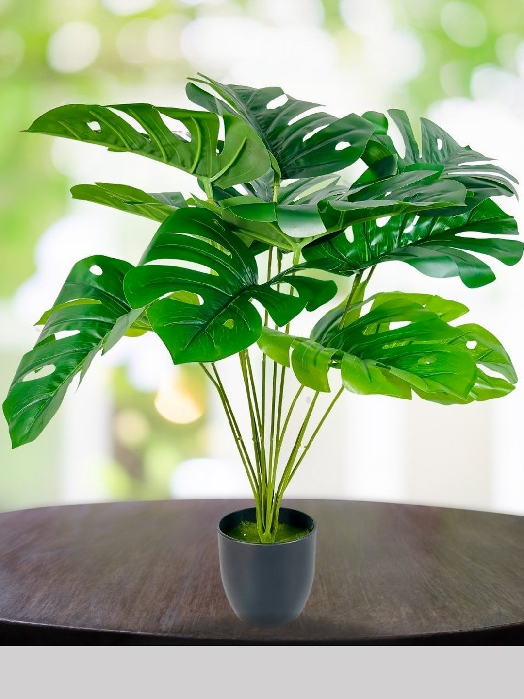 Dekorly Black Plastic Money Plant Artificial Flowers & Plants With Pot