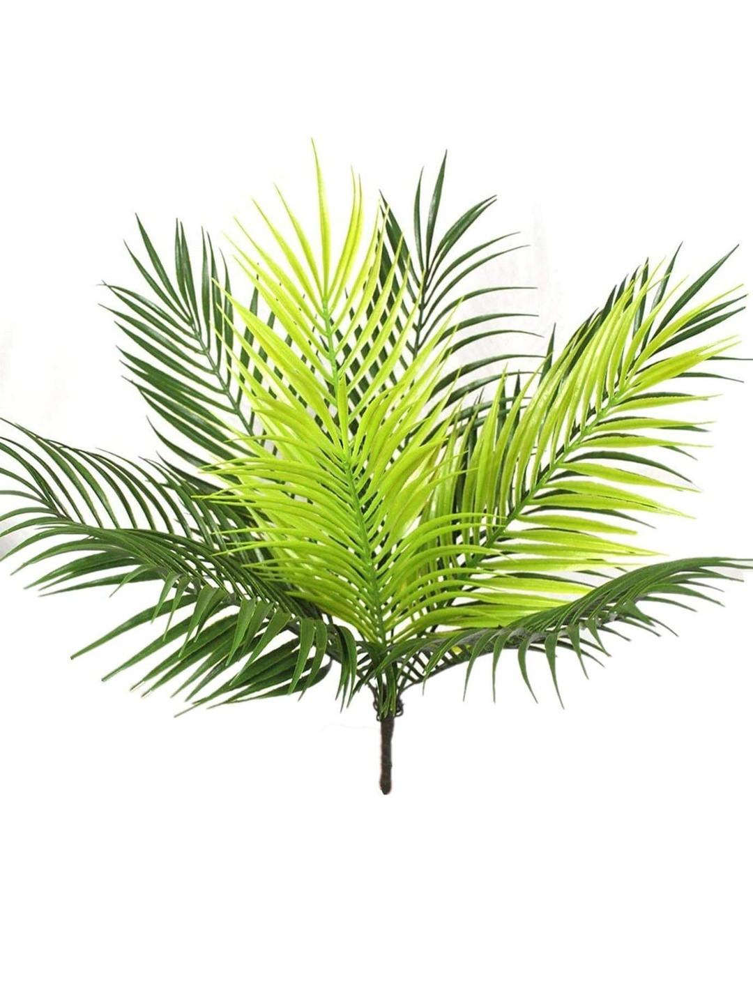 Dekorly Green Plastic Palm Artificial Flowers & Plants Without Pot