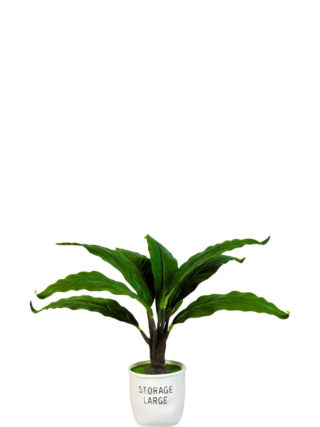 Dekorly White Plastic  Artificial Flowers & Plants With Pot