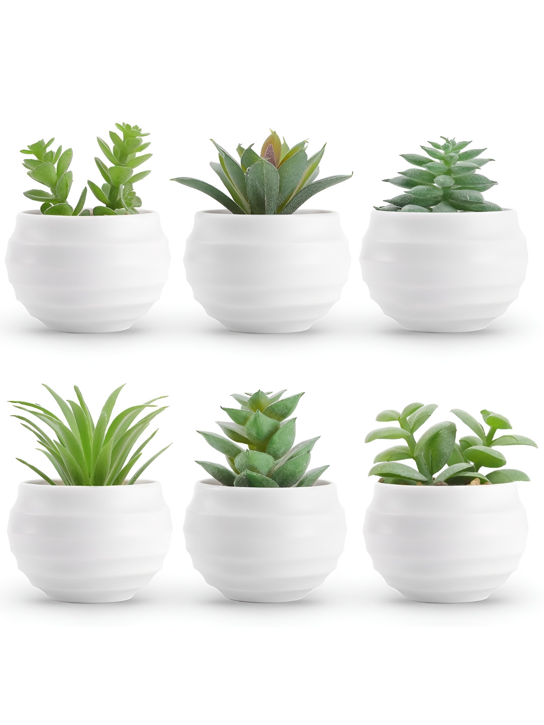 TIED RIBBONS Set of 6 Artificial Small Succulents Plants with Pots