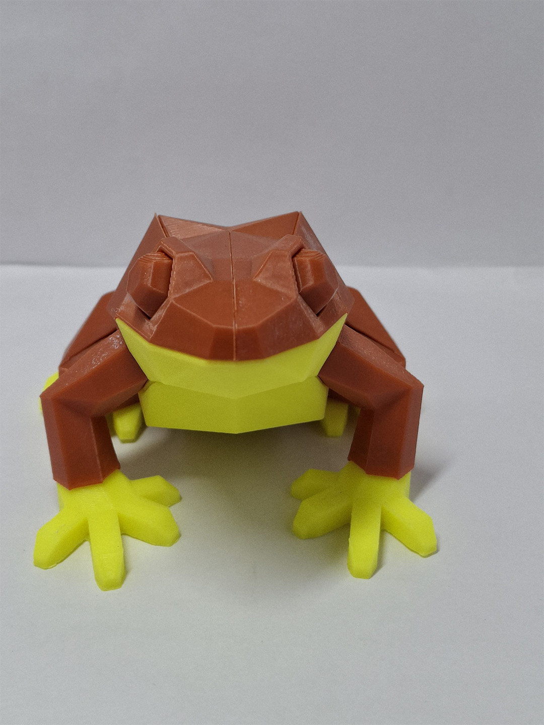 Ankuram robo Kids 3D Magnetic Frog Puzzles Activity Toys and Games