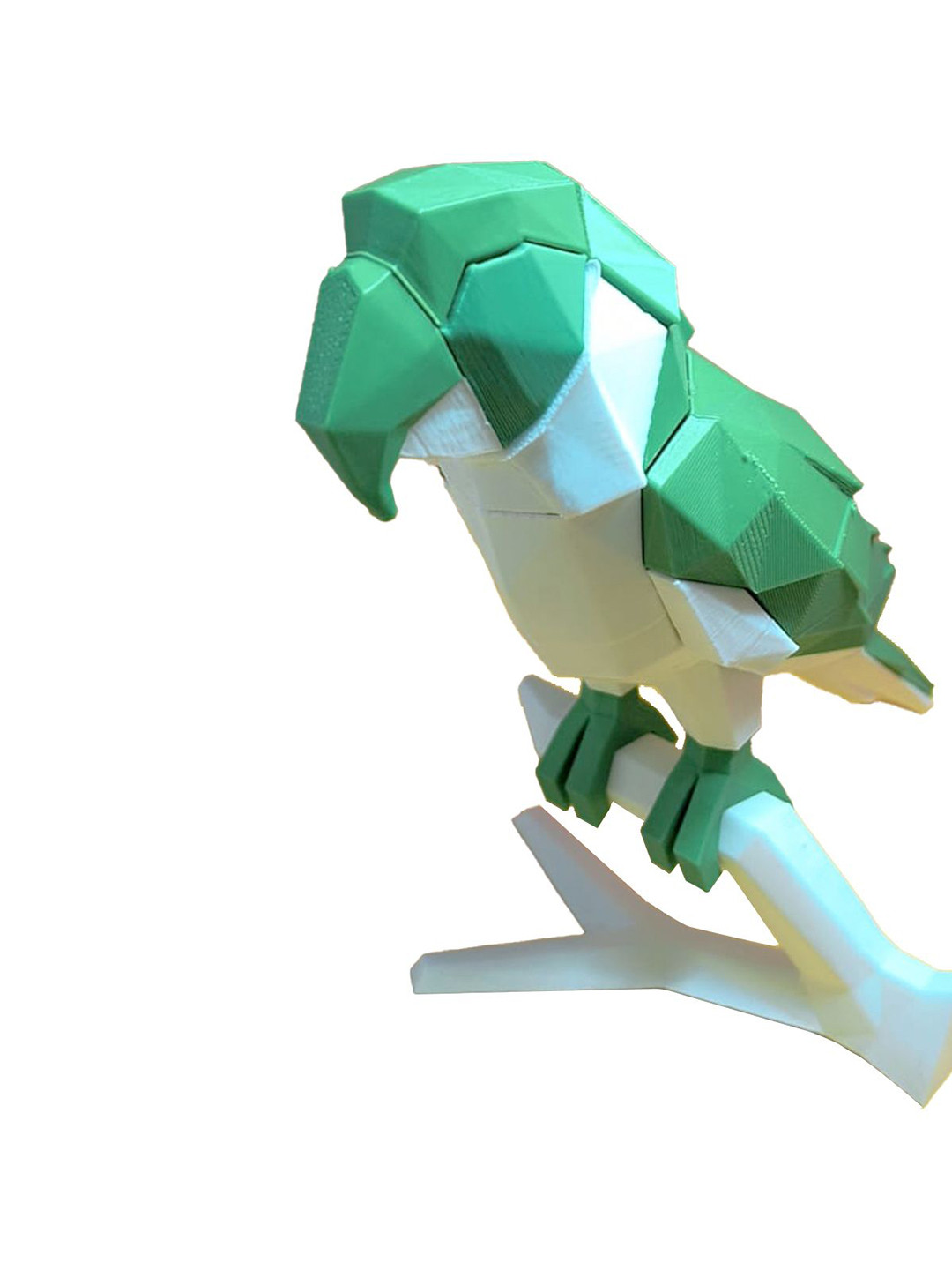 Ankuram robo 3d Magnetic Parrot Puzzles Activity Toys and Games