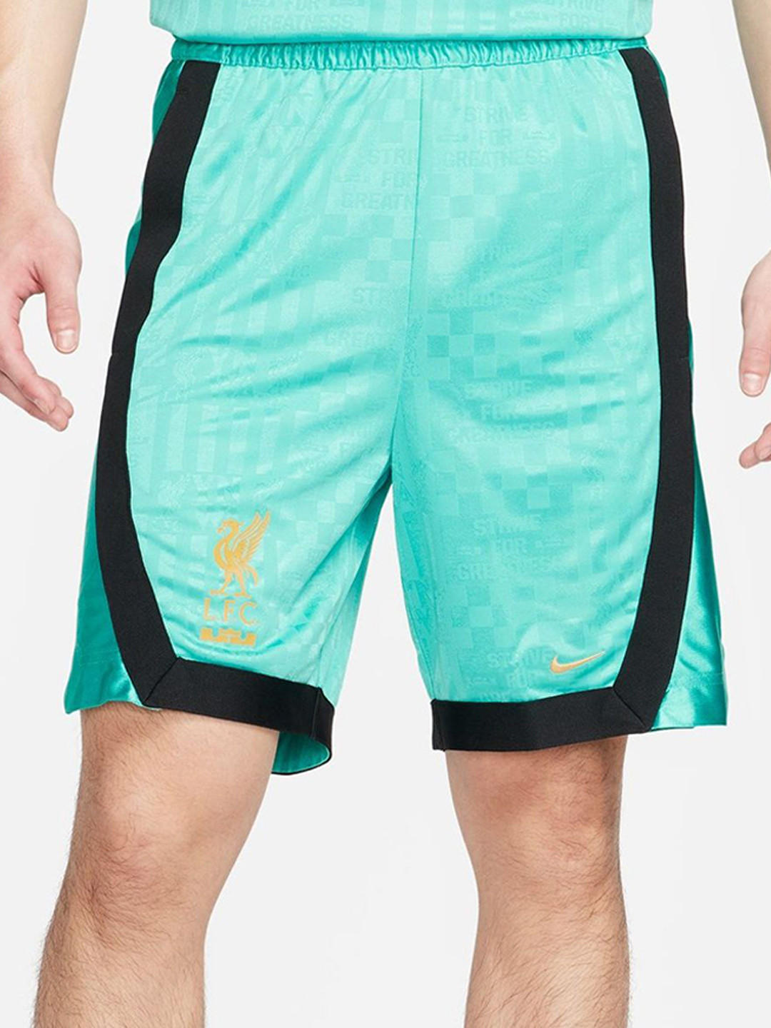 Nike Men Polyester Regular Fit Mid-Rise Shorts