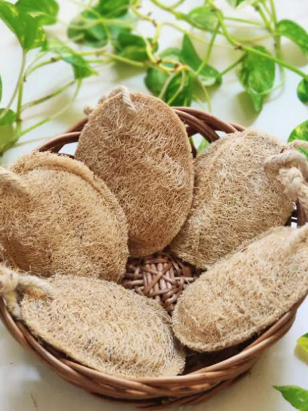 Rustic Rituals Set Of 2 Natural Loofah Sponge For Dead Skin