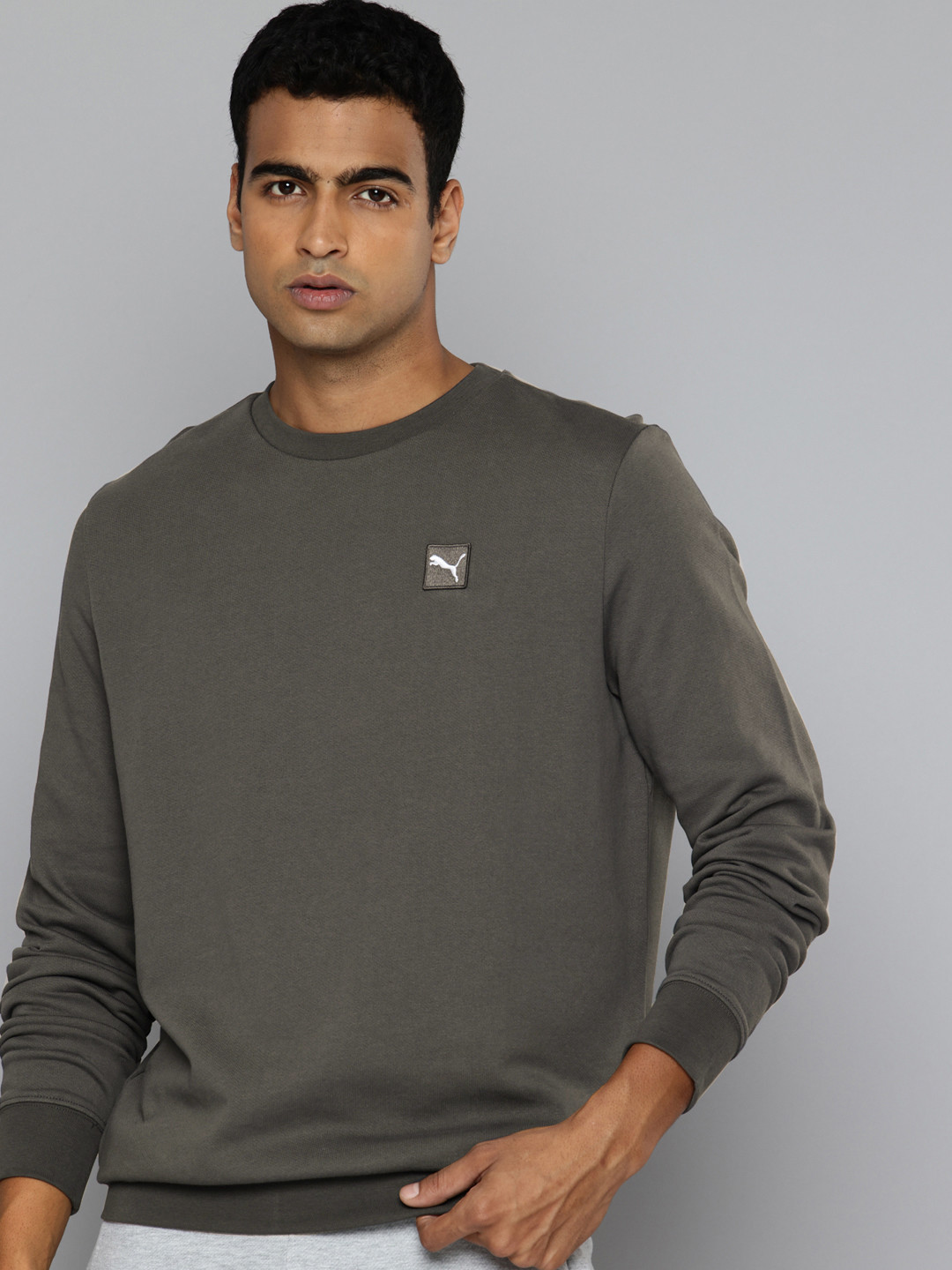 Puma Essentials Elevated Applique Pure Cotton Sweatshirt