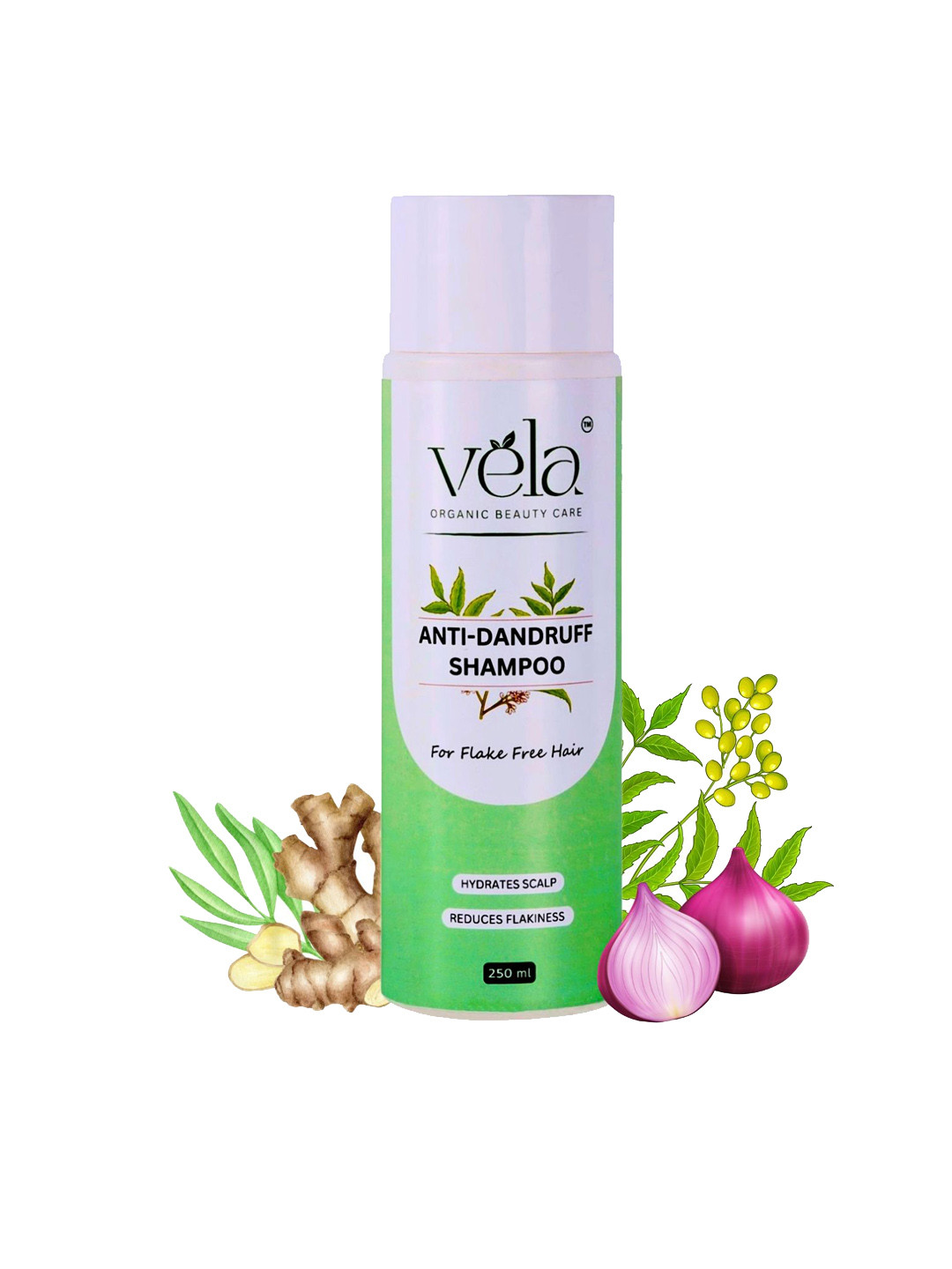 Vela Organic Beauty Care Anti Dandruff Shampoo With Green Tea & Ginger - 250 ml