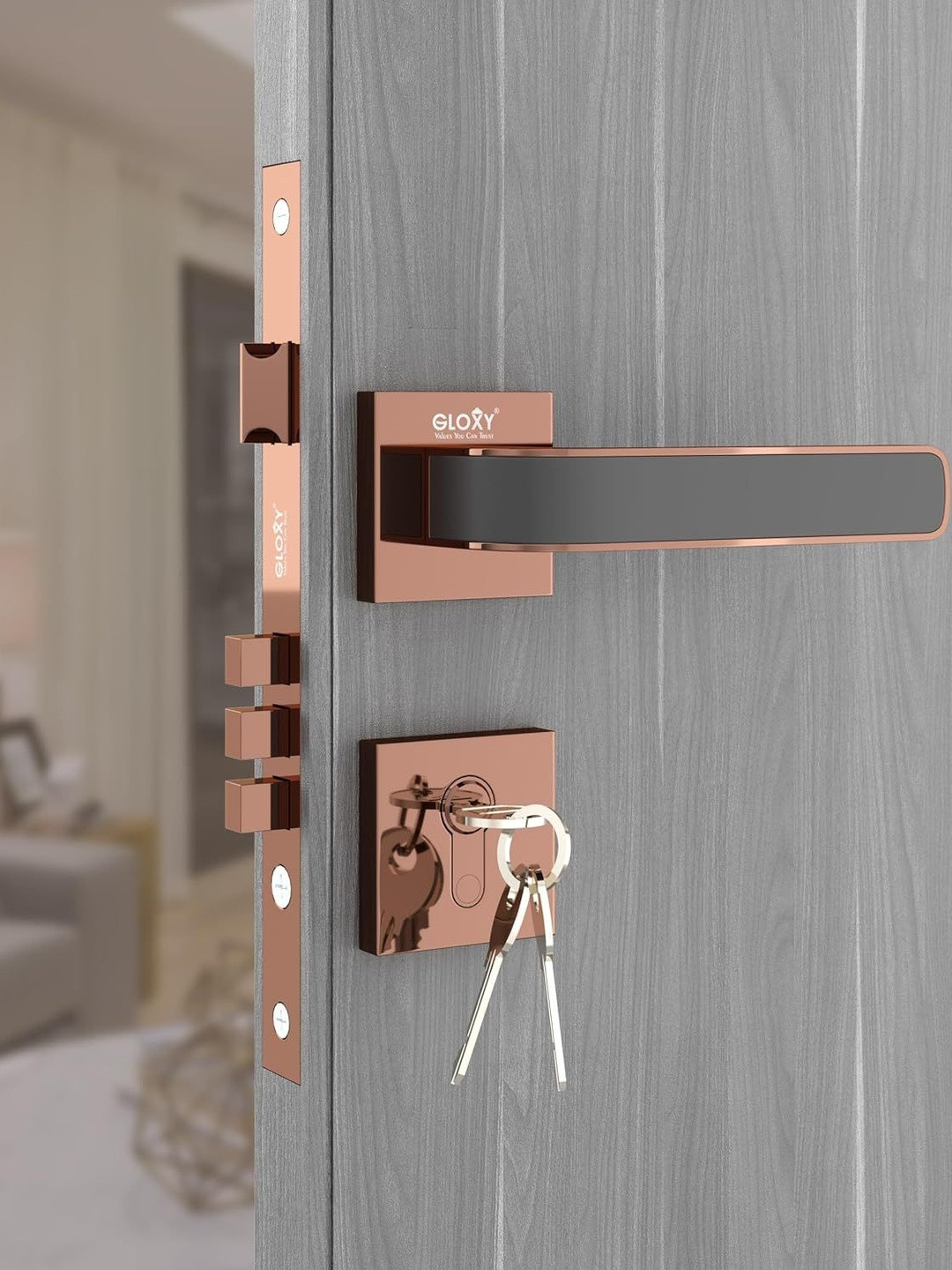 GLOXY Zinc Heavy Duty Door Locks