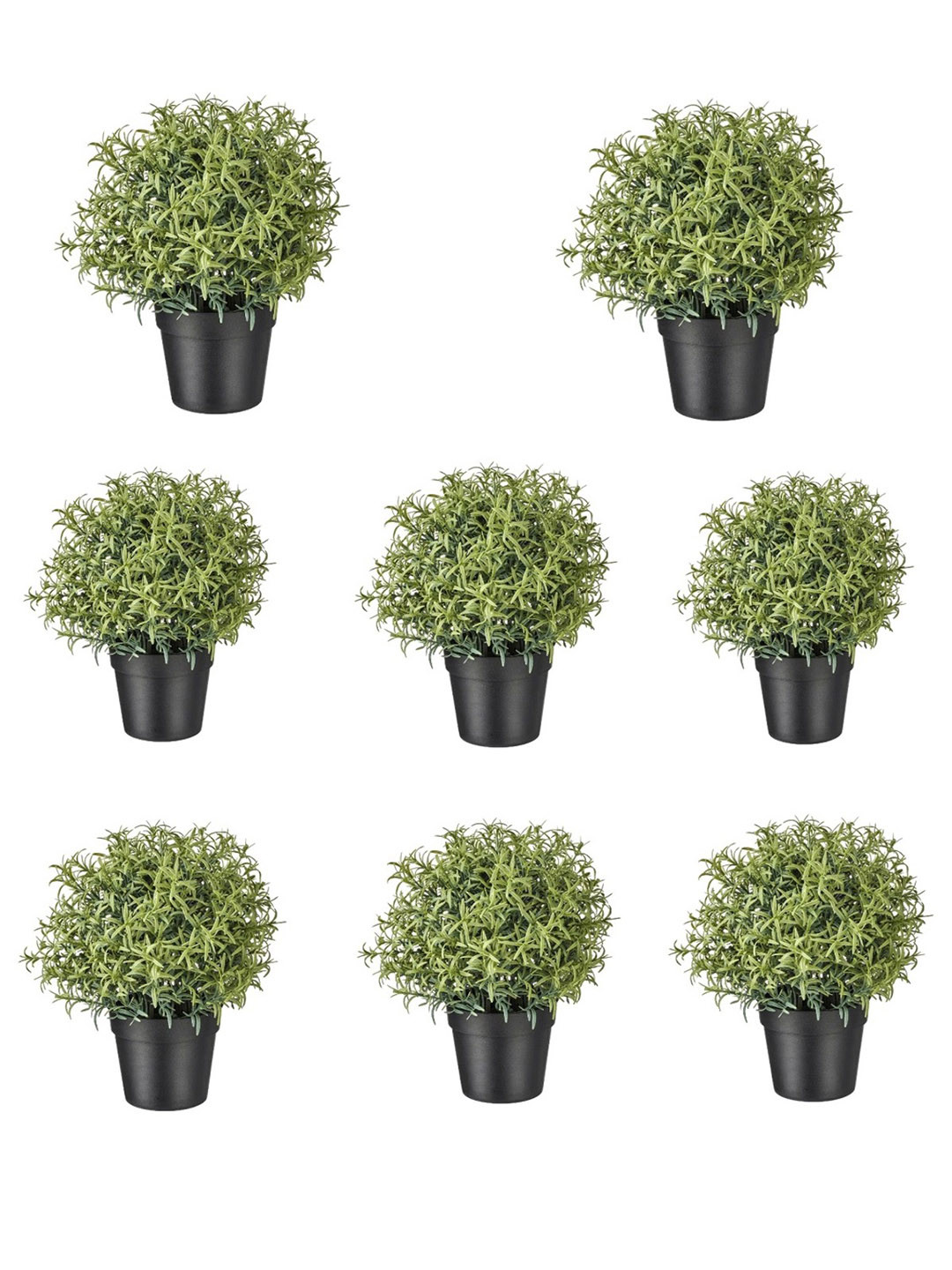 paperi Green & Black 8 Pieces Rosmarinus Artificial Plants With Pots